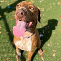 Thumbnail photo of Lionel Richie #3