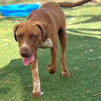 Thumbnail photo of Lionel Richie #4