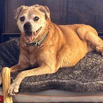 Thumbnail photo of Betsy #1