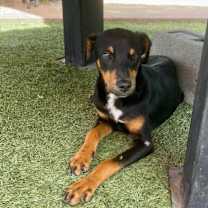 Thumbnail photo of Jack #2