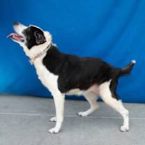 Thumbnail photo of LOLA #2