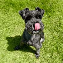 Thumbnail photo of Bug #2