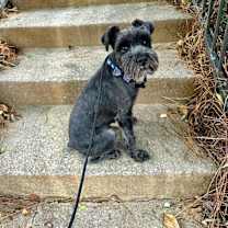 Thumbnail photo of Bug #3