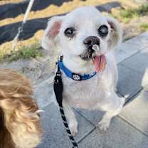 Thumbnail photo of Noah #3