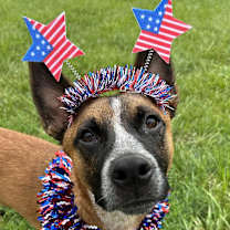 Thumbnail photo of Tito #1