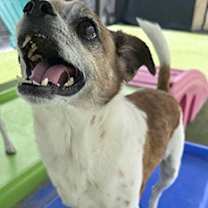 Thumbnail photo of Rocky #4