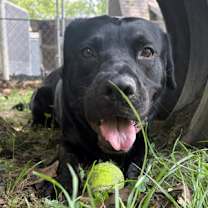 Thumbnail photo of Logan #2