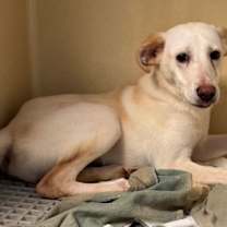 Thumbnail photo of Trudy #1