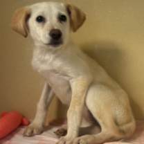 Thumbnail photo of Trudy #2