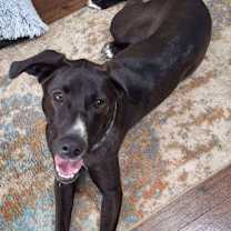 Thumbnail photo of Misty AK #2