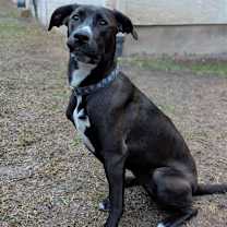 Thumbnail photo of Misty AK #3