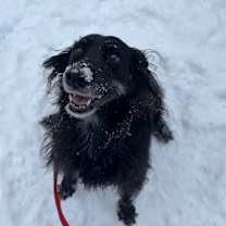 Thumbnail photo of Pops #2