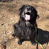 Thumbnail photo of Pops #3