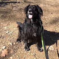 Thumbnail photo of Pops #4