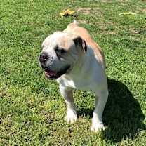 Thumbnail photo of AJ #2