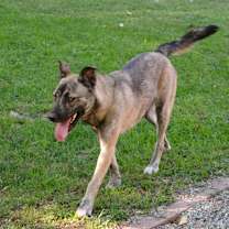 Thumbnail photo of Luna #4