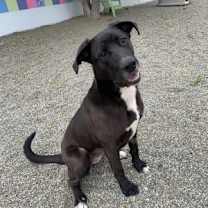 Thumbnail photo of Sunny #4