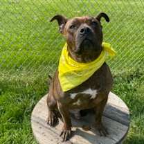 Thumbnail photo of Peanut #1