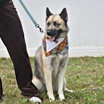 Thumbnail photo of Dante #3