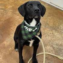 Thumbnail photo of Krew #1