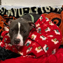 Thumbnail photo of Beatrix #1