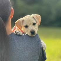 Thumbnail photo of Sadie Rae Dixie #2