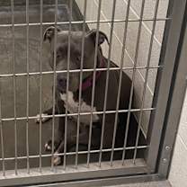 Thumbnail photo of SHIRLEY #2