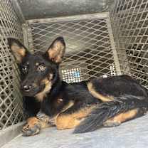 Thumbnail photo of Tucker #2