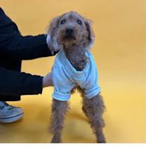 Thumbnail photo of Seven #4