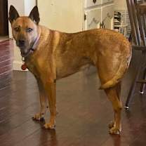 Thumbnail photo of Sydney #1