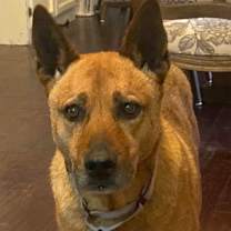 Thumbnail photo of Sydney #3