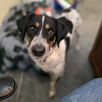 Thumbnail photo of Alicent #3