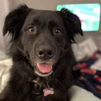 Thumbnail photo of Courtesy: Mauer #2