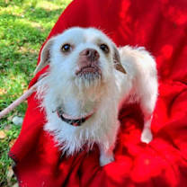 Thumbnail photo of Ketano #2