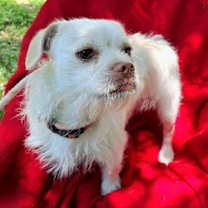 Thumbnail photo of Ketano #3