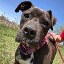 Thumbnail photo of Gamma #2