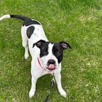 Thumbnail photo of Jonesy #3