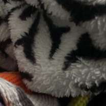 Thumbnail photo of Jonesy #4