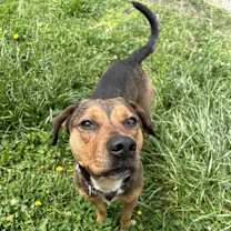 Thumbnail photo of Reed Timmer #1