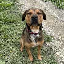 Thumbnail photo of Reed Timmer #3