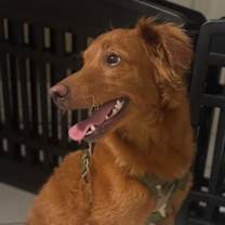 Thumbnail photo of PLUTO #4