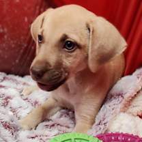 Thumbnail photo of Charmaine #3