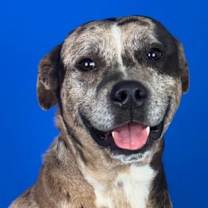 Thumbnail photo of ACE #2