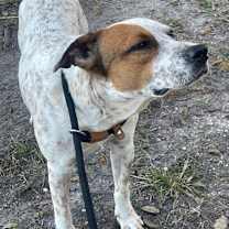 Thumbnail photo of ELFIE #4