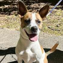 Thumbnail photo of Lola #1