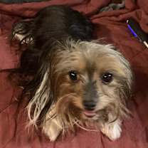 Thumbnail photo of Brielle #2