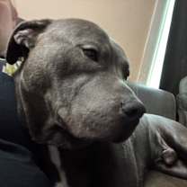 Thumbnail photo of Charlie Brown #3