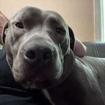 Thumbnail photo of Charlie Brown #4