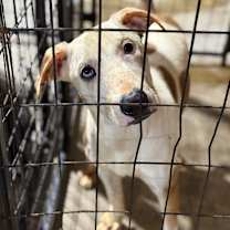 Thumbnail photo of Wentz #3