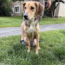 Thumbnail photo of Shi #2